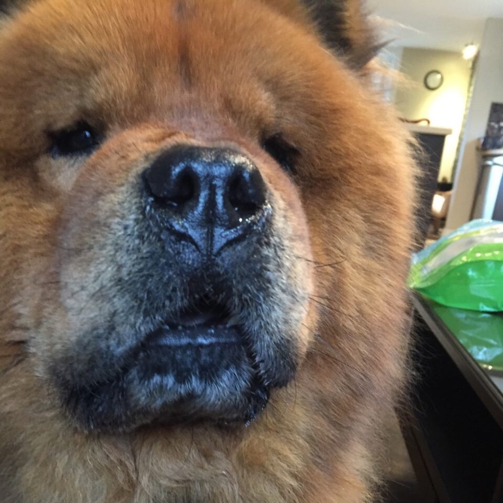 Meet your Posher, Ari